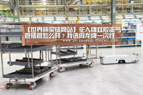 【世界杯买球网站】驼人牌双腔支气管插管怎么样？我选麻龙牌一次