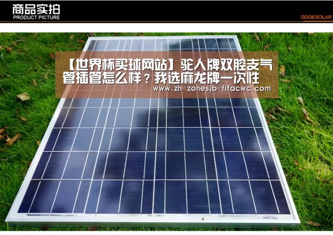 【世界杯买球网站】驼人牌双腔支气管插管怎么样?我选麻龙牌一次性双腔支气管插管(图3) 世界杯投注