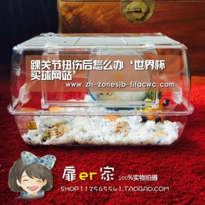 踝关节扭伤后怎么办‘世界杯买球网站’