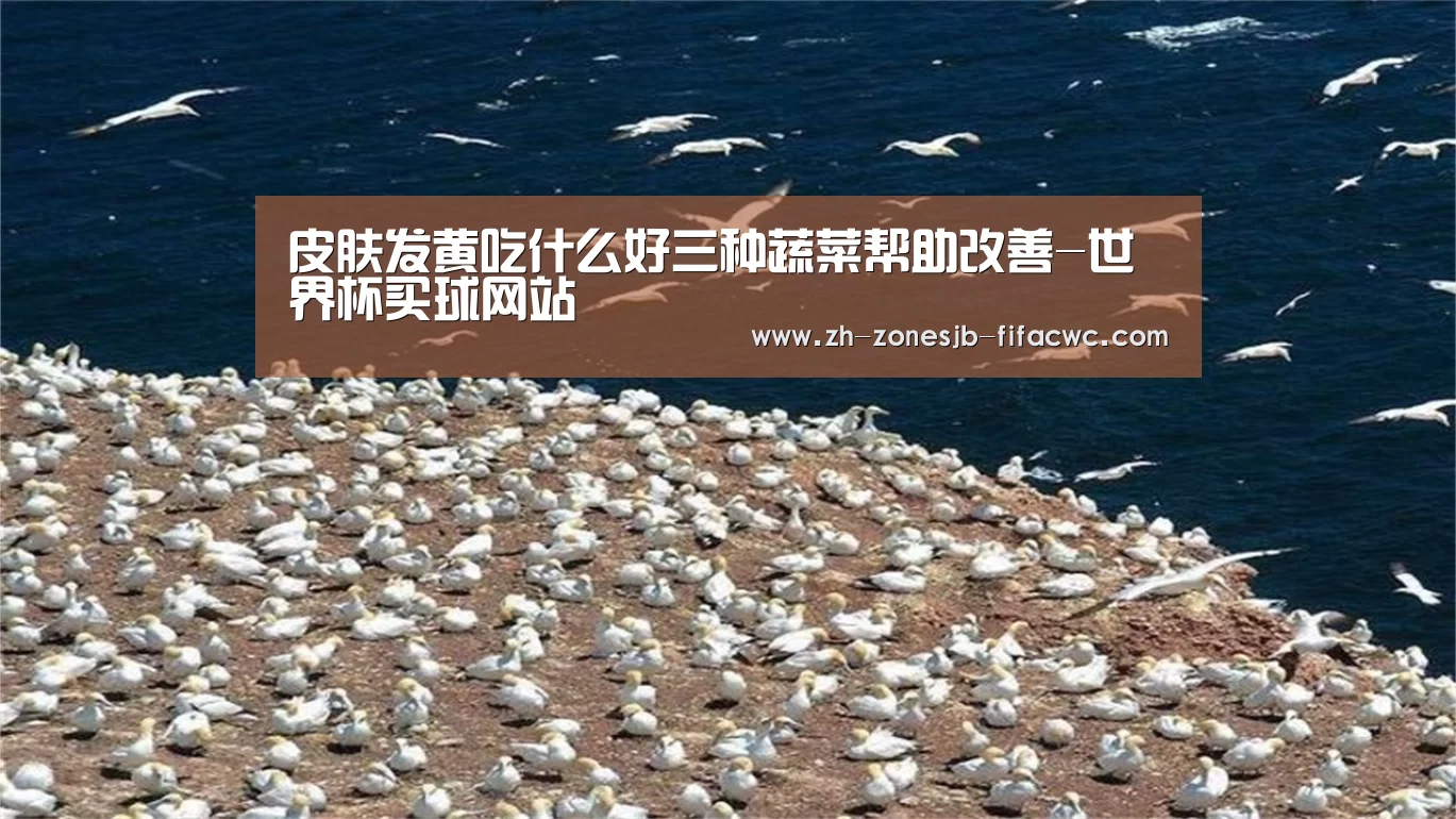 皮肤发黄吃什么好三种蔬菜帮助改善-世界杯买球网站(图2) 世界杯投注