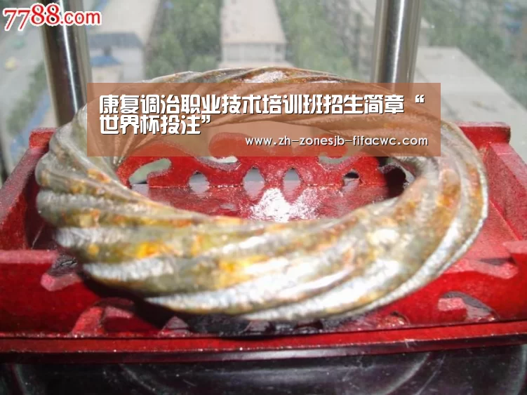 康复调治职业技术培训班招生简章“世界杯投注”(图2) 世界杯投注